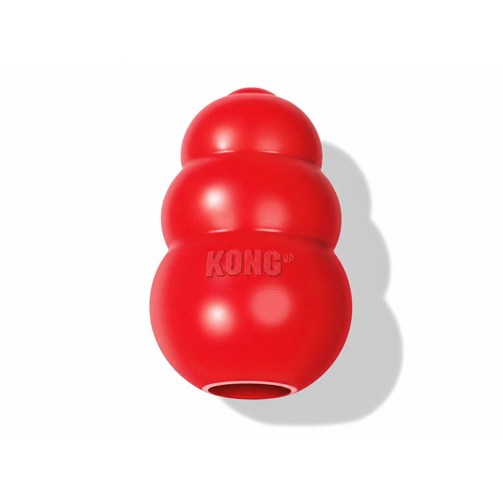 Kong